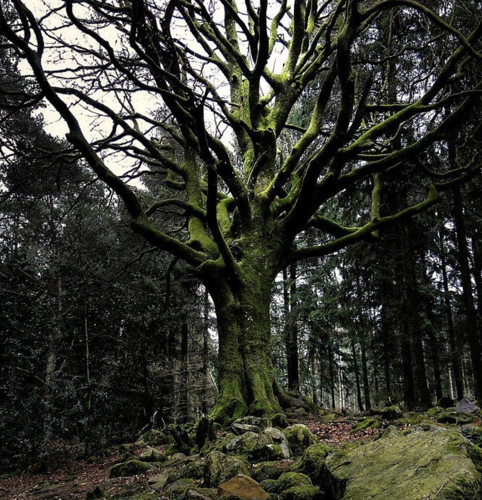 RETRAITE MYSTIK | BRETAGNE, FRANCE