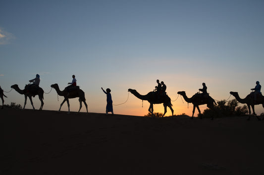 RETRAITE VISONNAIRE | M'HAMID, MAROC - SEPT.2025